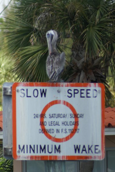 I can't go any slower icantgoanyslower.jpg