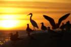 sunsetonstpetebeachoct073_small.jpg