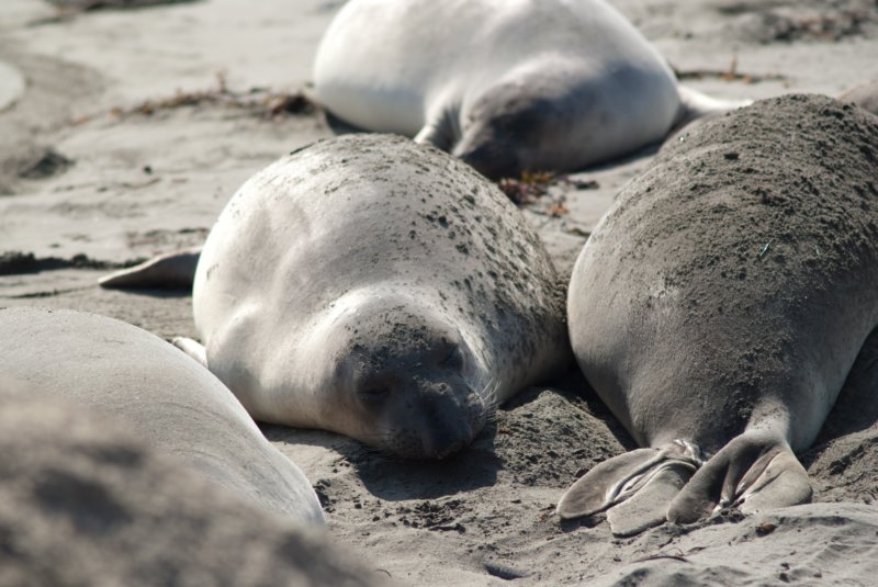080916_scenes_pch_09270 _scenes_pch_09270.jpg