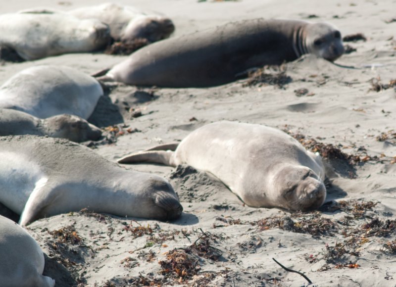 080916_scenes_pch_09280 _scenes_pch_09280.jpg