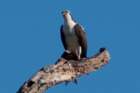 gemini_springs_state_park_fl_nov_2008_2_dsc00823_02_small.jpg