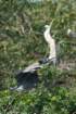 dsc00212_small.jpg