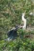 dsc00213_small.jpg