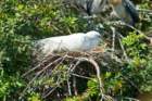 dsc00224_small.jpg
