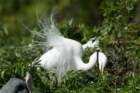 dsc00256_small.jpg