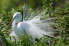 dsc00261_small.jpg