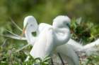 dsc00276_small.jpg