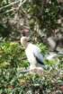dsc00288_small.jpg