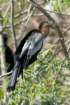 dsc00289_small.jpg