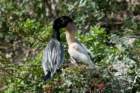 dsc00290_small.jpg