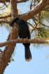 dsc00291_small.jpg