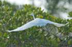 dsc00996_small.jpg
