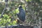 dsc01022_small.jpg