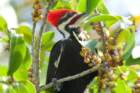 dsc01026_small.jpg