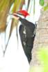 dsc01118_small.jpg