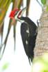 dsc01127_small.jpg
