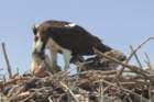 dsc01153_small.jpg