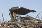 dsc01167_small.jpg