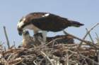 dsc01169_small.jpg