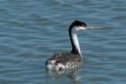 a900dsc02406_small.jpg