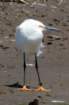 a900dsc02526_small.jpg
