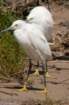 a900dsc02528_small.jpg