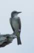 dsc02955_small.jpg