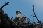 dsc02968_small.jpg