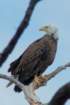 dsc03047_small.jpg
