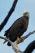dsc03048_small.jpg