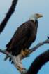 dsc03049_small.jpg