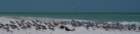 dsc02371_small.jpg