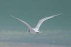 dsc02373_small.jpg