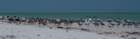 dsc02374_small.jpg