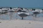 dsc02420_small.jpg