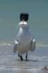 dsc02464_small.jpg