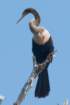 dsc03266_small.jpg