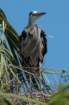 dsc03267_small.jpg