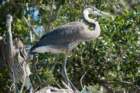 dsc03268_small.jpg