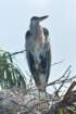 dsc03271_small.jpg