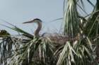 dsc03397_small.jpg