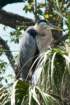 dsc03399_small.jpg