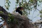 dsc03401_small.jpg