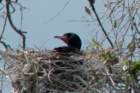 dsc03402_small.jpg