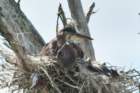 dsc03406_small.jpg