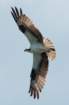 dsc03451_small.jpg