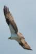 dsc03452_small.jpg