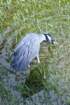 dsc03482_small.jpg