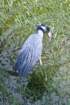 dsc03484_small.jpg