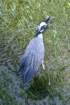 dsc03486_small.jpg
